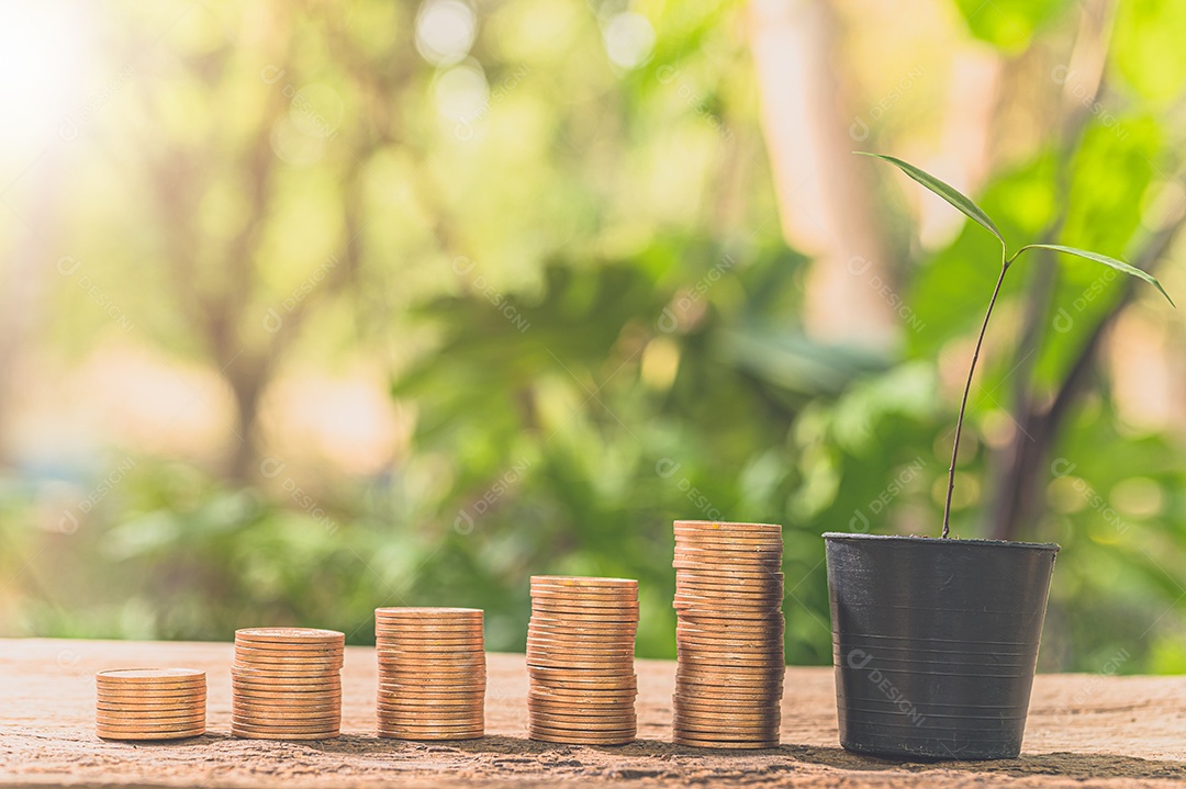 Moedas empilhadas, conceito de crescimento financeiro