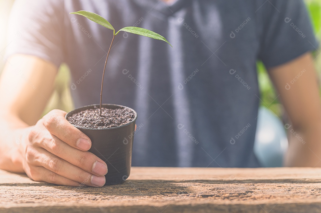 Homem segurando um vaso de planta. Conceito de amor pelas plantas.