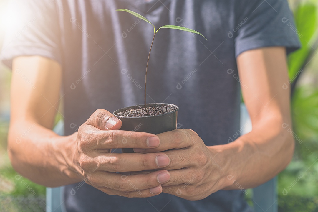 Man holding a potted plant. Concept of love for plants.