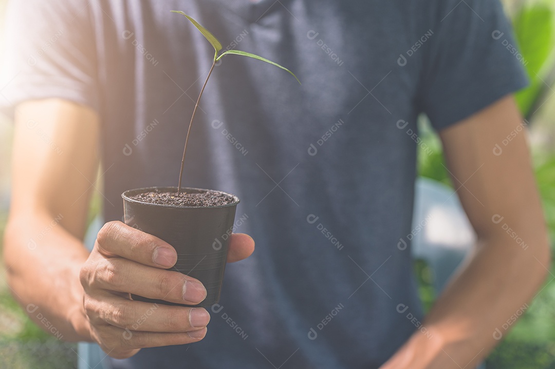 Homem segurando um vaso de planta. Conceito de amor pelas plantas.