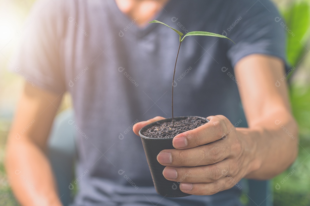 Homem segurando um vaso de planta. Conceito de amor pelas plantas.