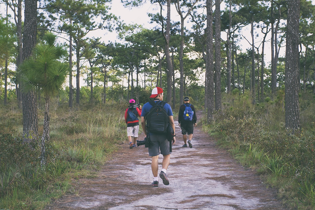 Desfocado de Camping Amizade Caminhando Backpacker e Camp Forest Adventure Travel Remote Relax Concept