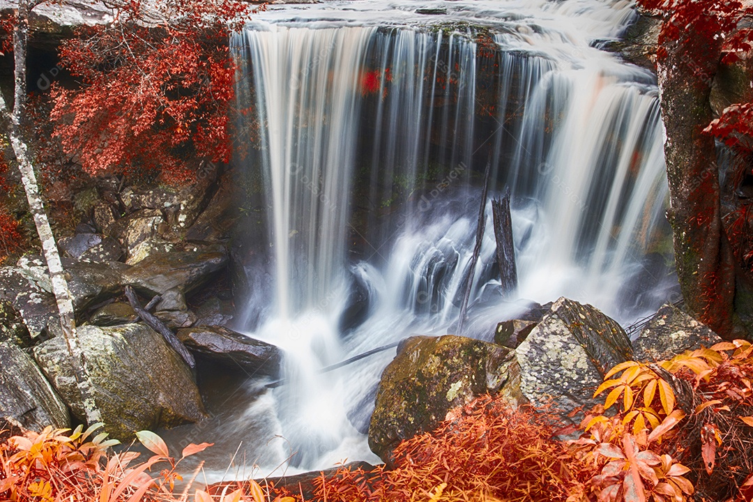 Cachoeira de outono na floresta profunda
