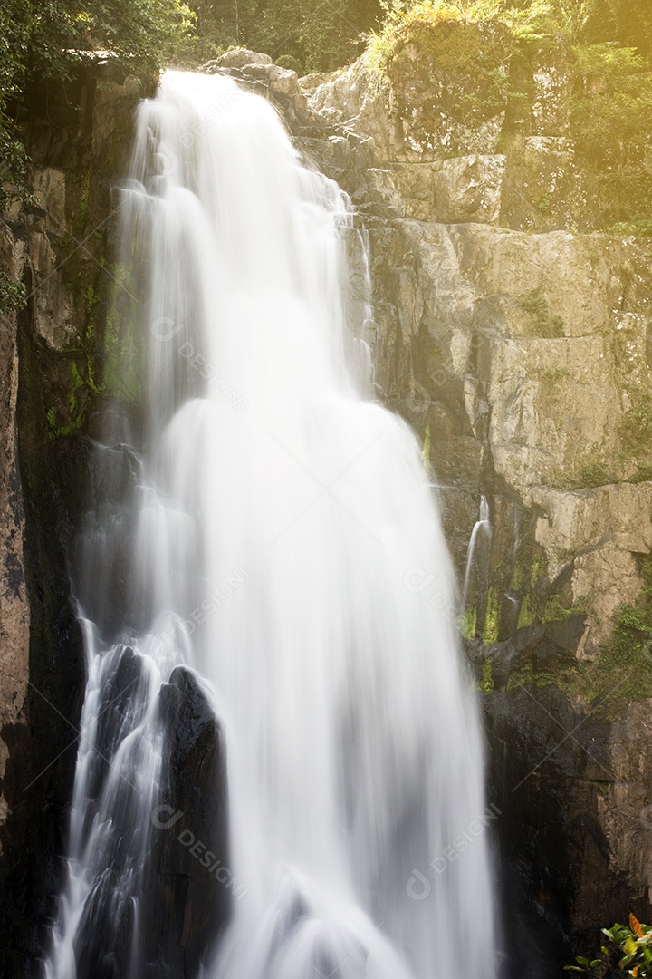 cachoeira na floresta profunda na tailândia