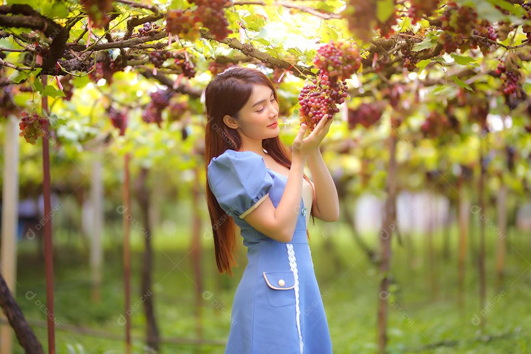 Mulher asiática segurando um cacho de uva em um vinhedo.