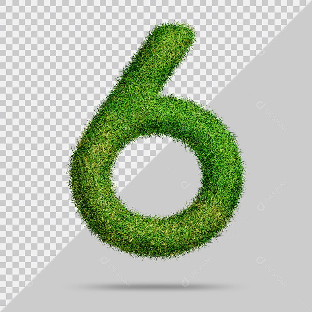 Número 3D 6 com Grama Verde PSD