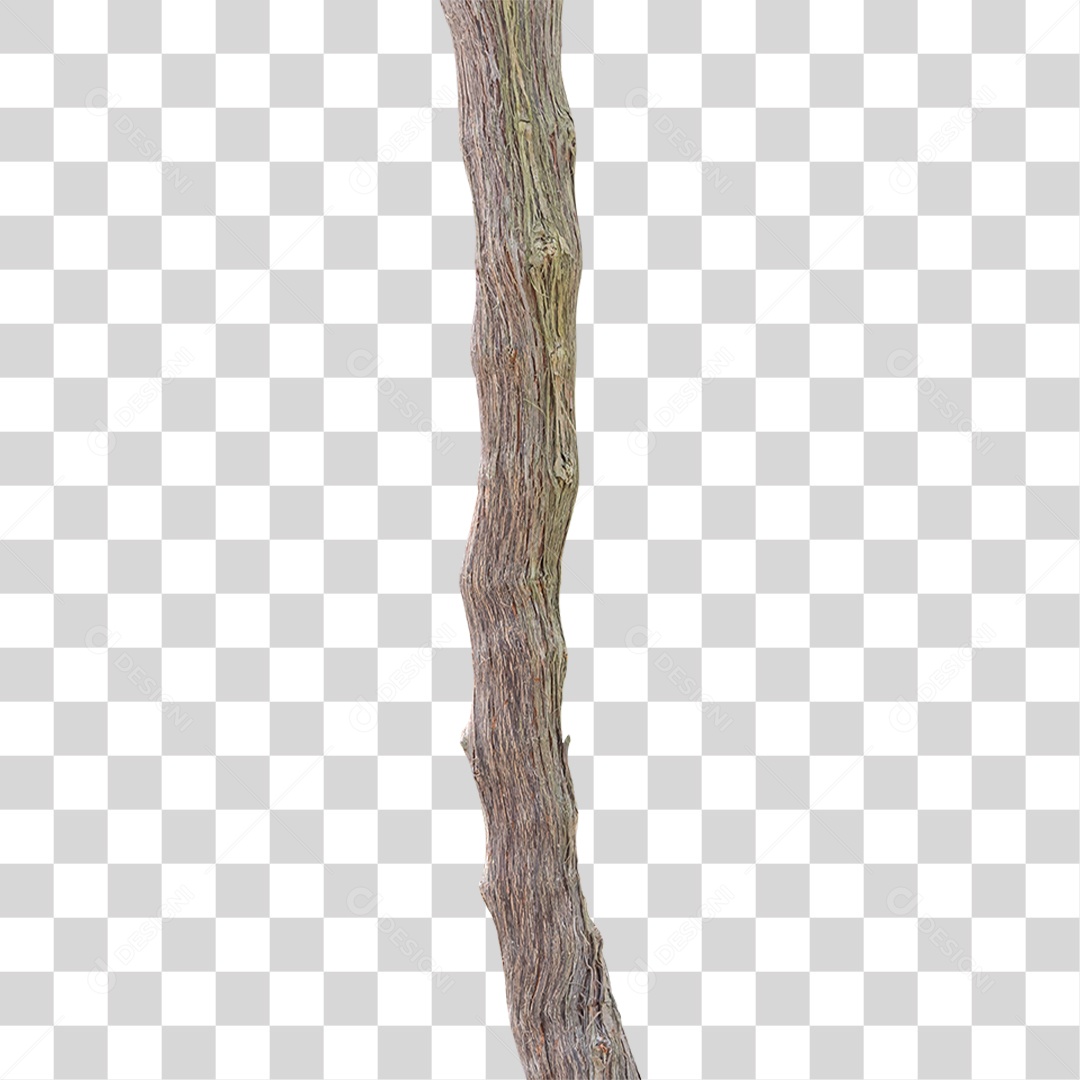 Pedaço de Madeira PNG Transparente