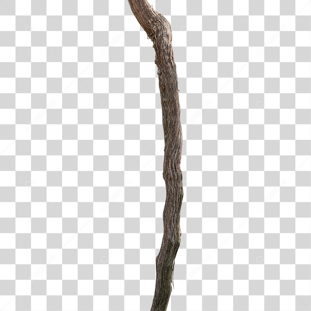 Pedaço de Madeira PNG Transparente