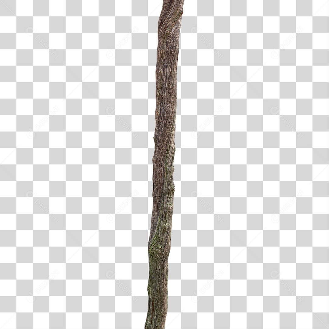 Pedaço de Madeira PNG Transparente