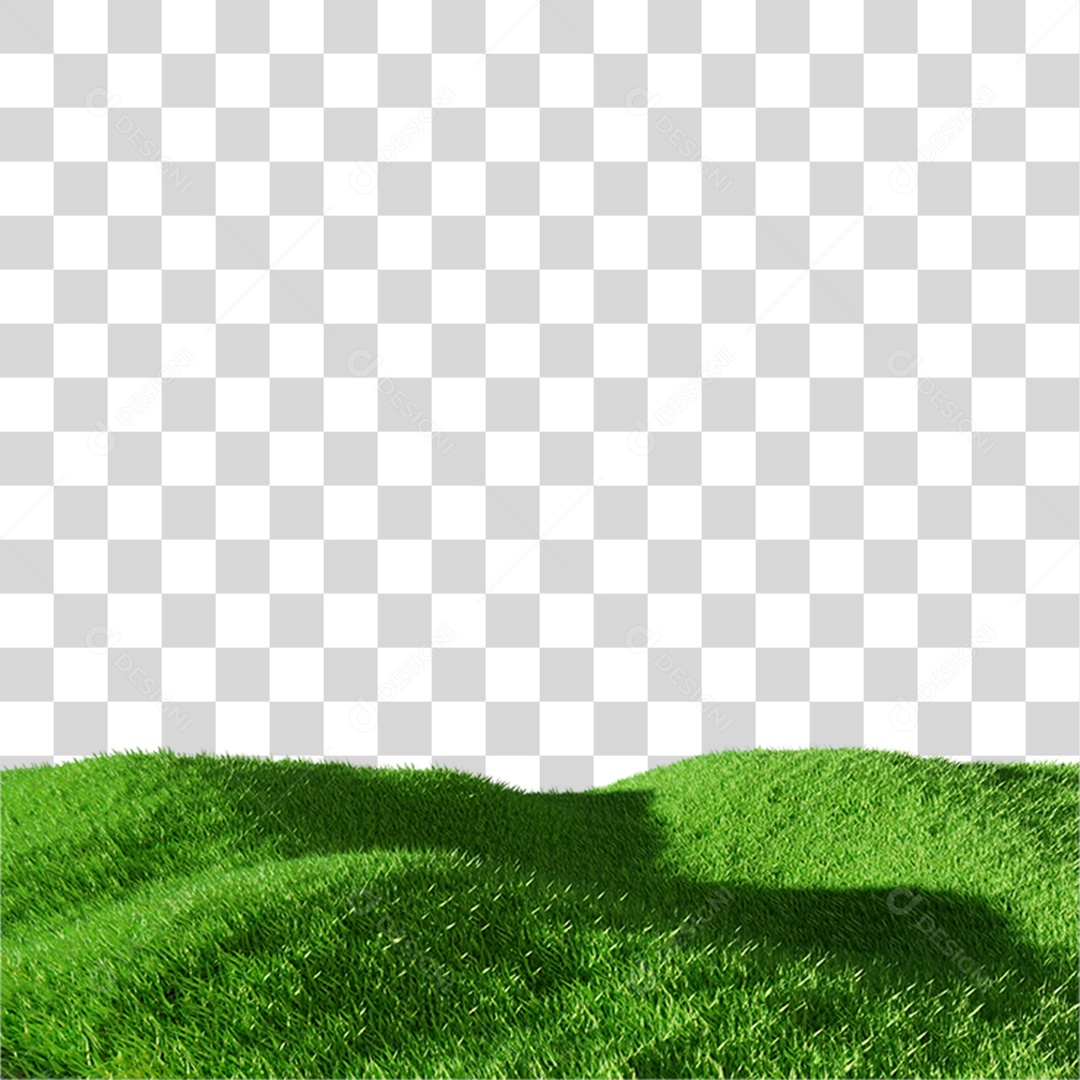 Grama Espaço Jardim PNG Transparente