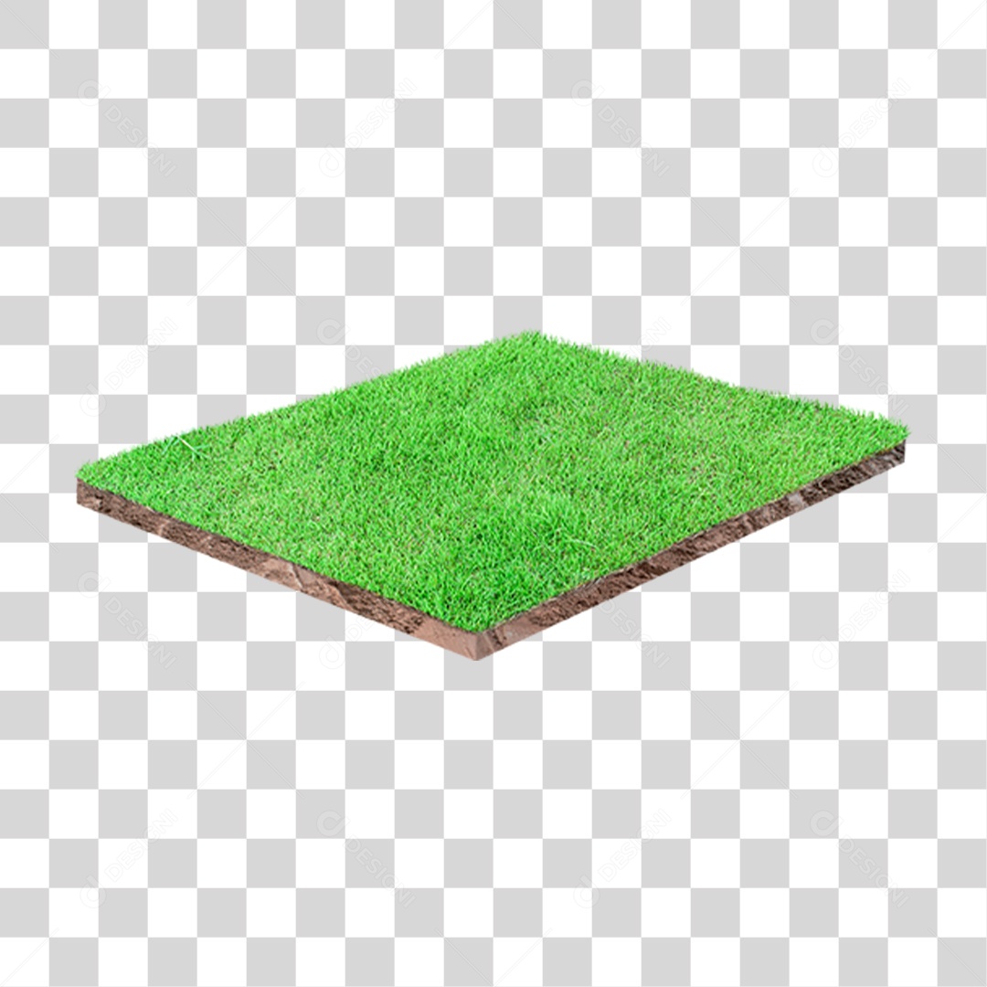 Grama Espaço Campo PNG Transparente