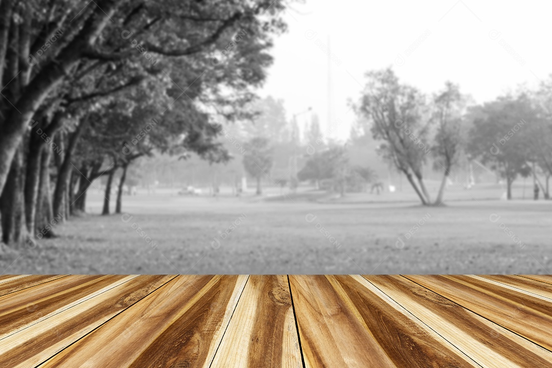 Fundo preto e branco da árvore e fundo da natureza