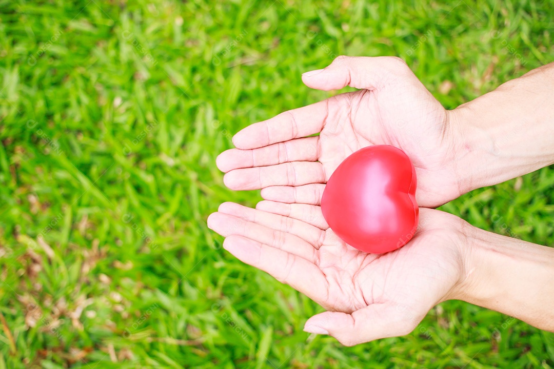 Coração vermelho nas mãos do homem, sobre fundo verde