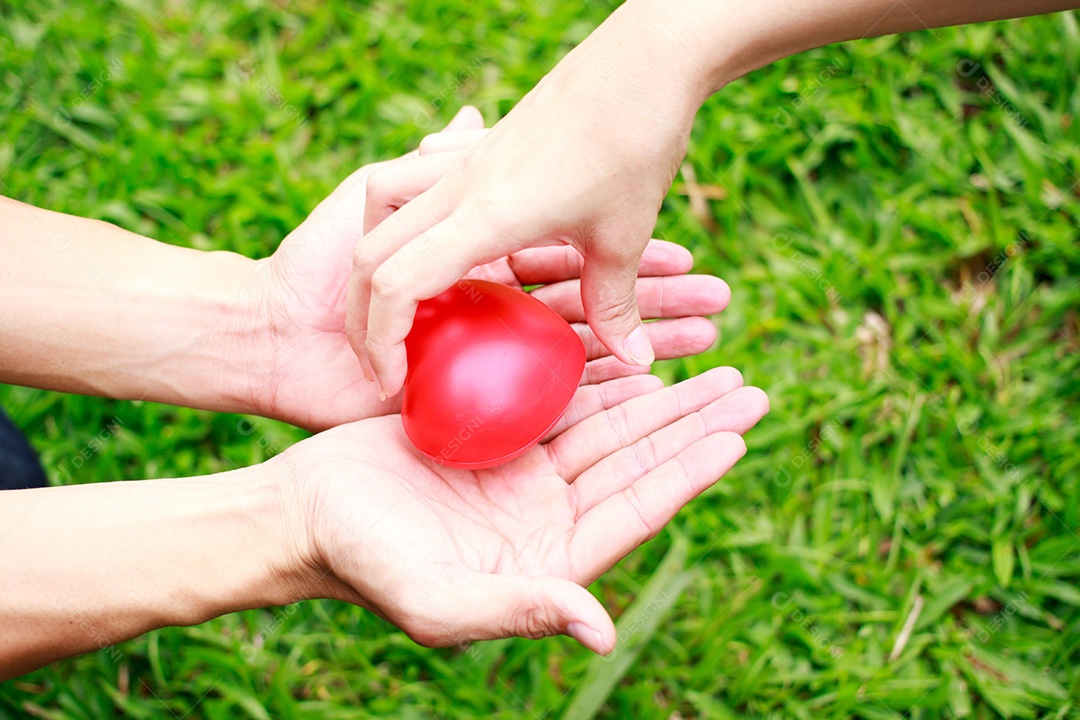 Coração vermelho nas mãos da mulher e do homem, sobre fundo verde