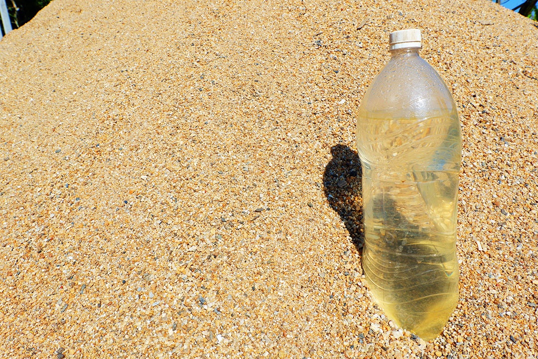 Garrafa plástica de água está na pilha de areia Para evitar que o cachorro entre nos excrementos.