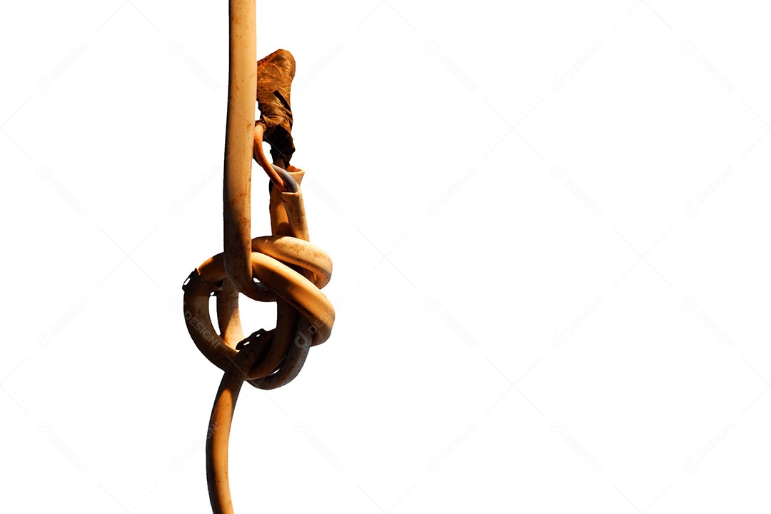 Velho fio de eletricidade amarrado é nó no fundo branco