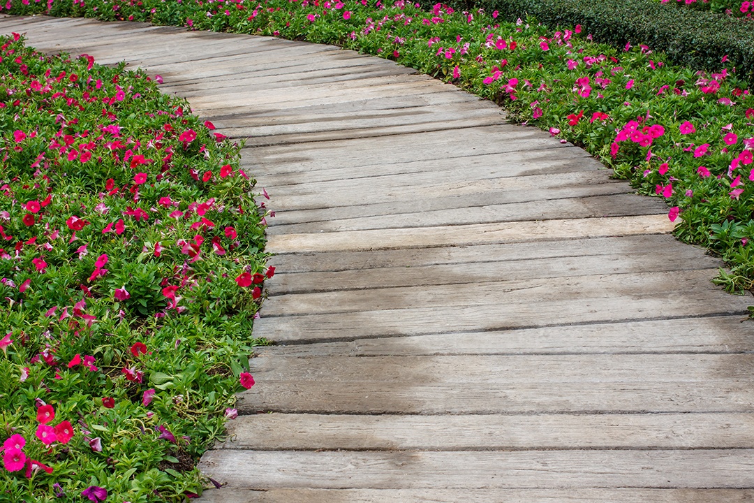 Passeio no parque Cheio de jardim florido
