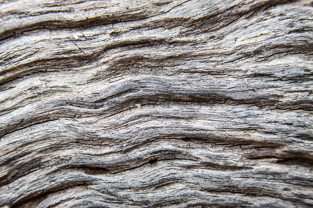 Fundo de textura de madeira marrom.