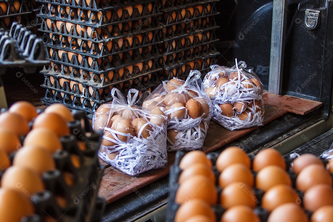 Aproximação de muitos ovos marrons frescos na bandeja de papelão, embalagem de ovo