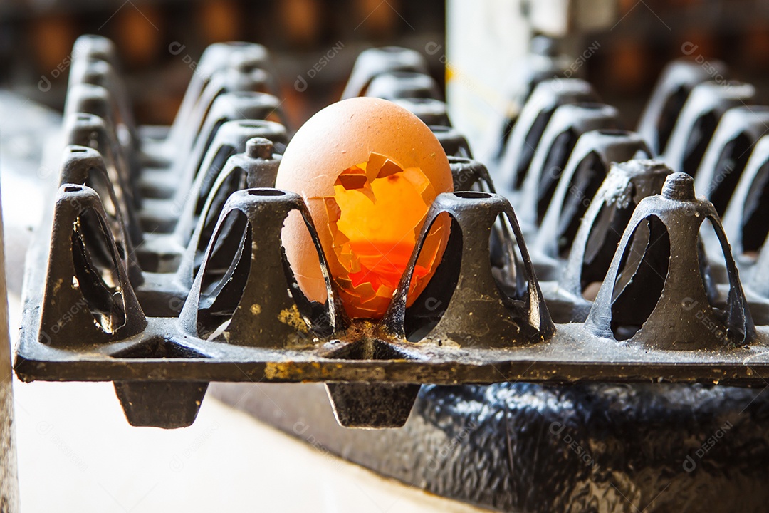 Ovo marrom rachado e quebrado na bandeja