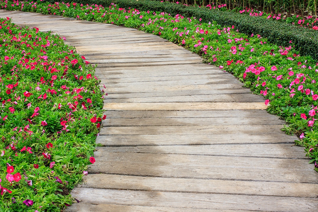 Caminhe no jardim de flores