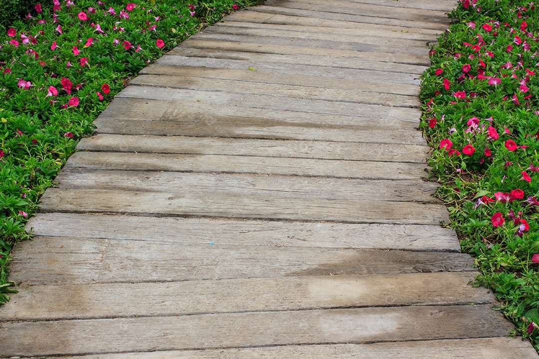 Passeio no parque Cheio de árvores frondosas
