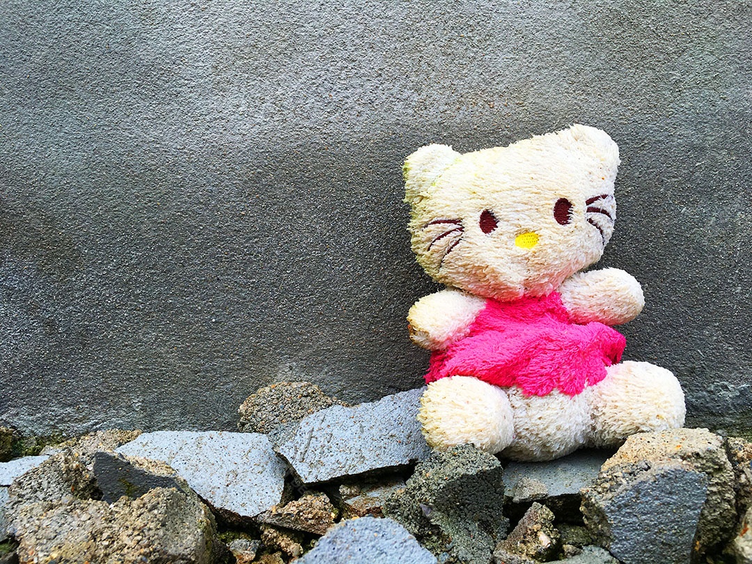 Urso de pelúcia sobre fundo de parede rebocada