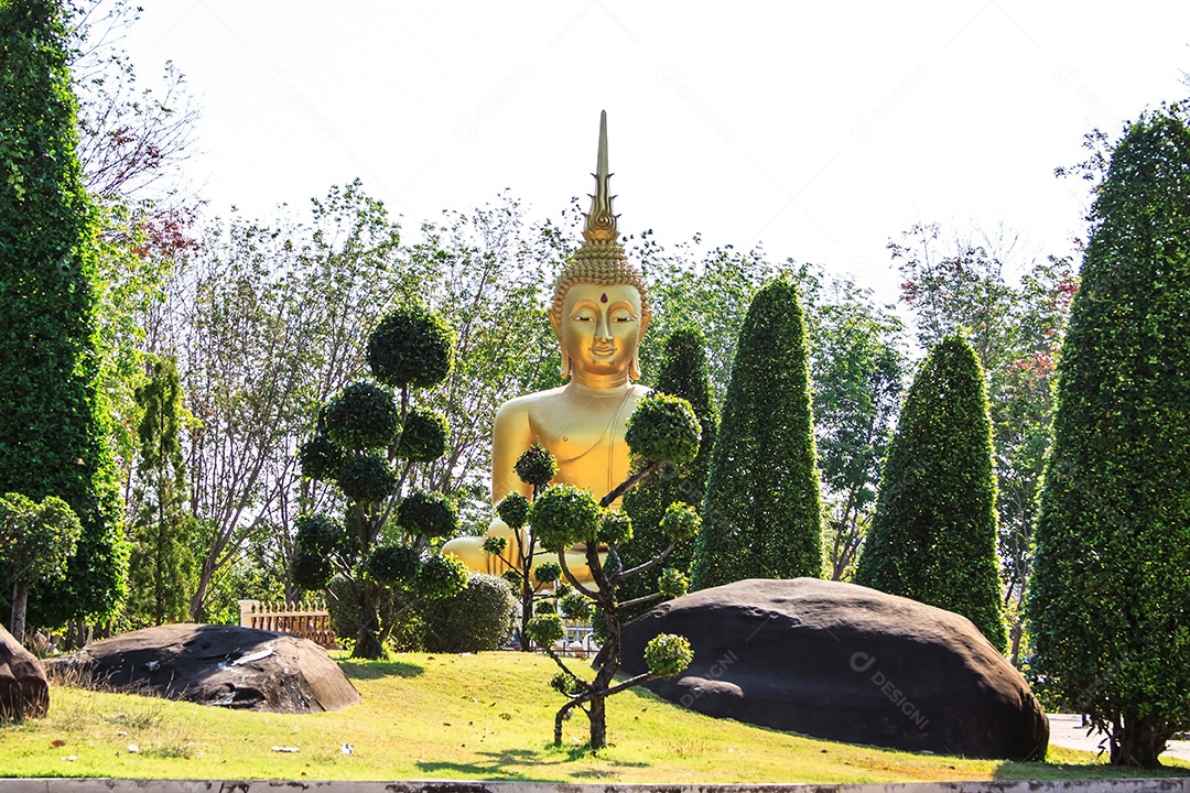 Buda dourado no templo tailandês e jardim