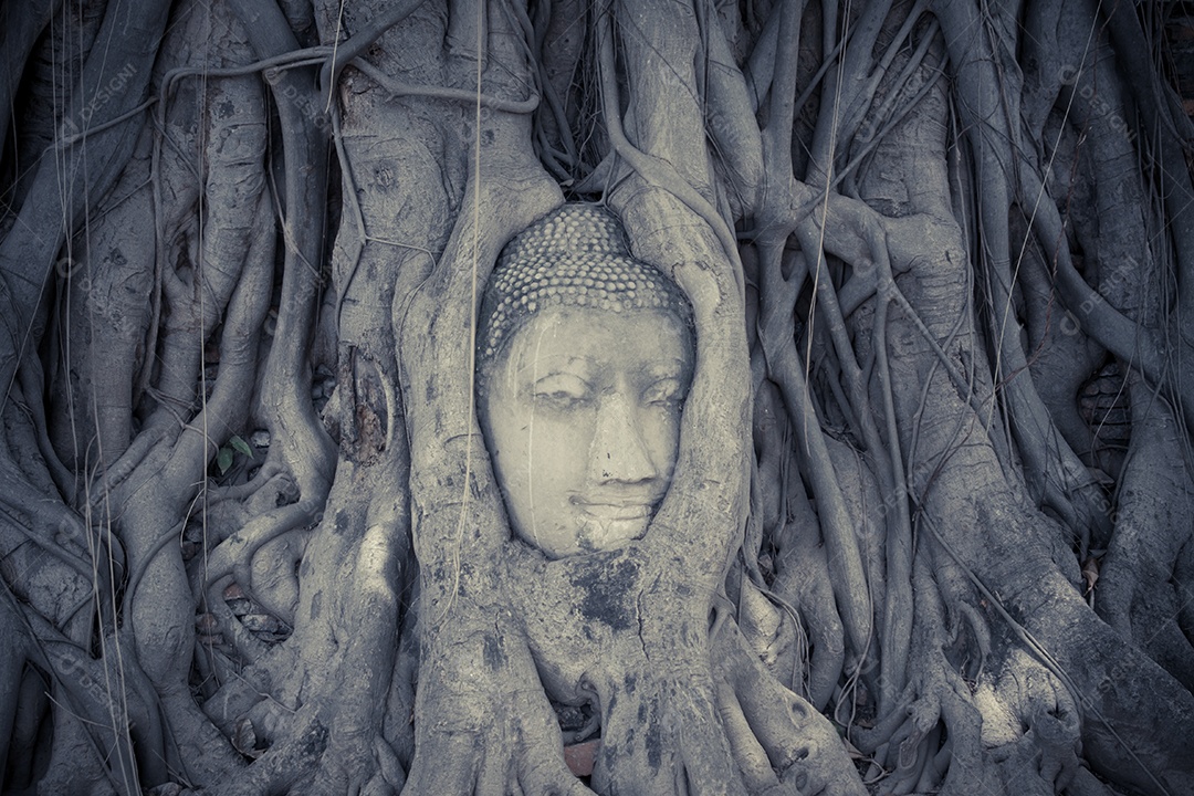 Escultura de buda feita em árvores