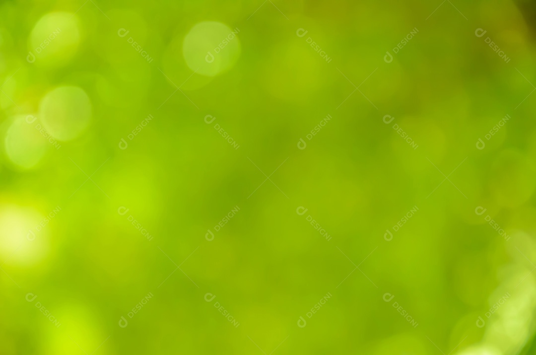 Fundo bokeh verde desfocado