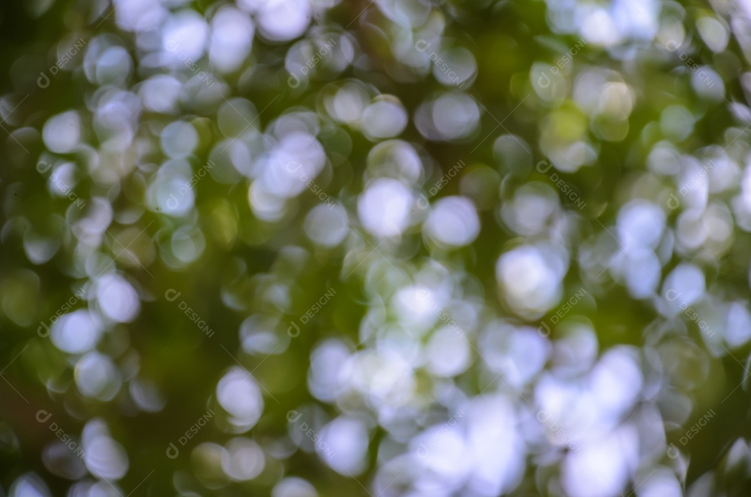 Desfoque claro e fundo bokeh