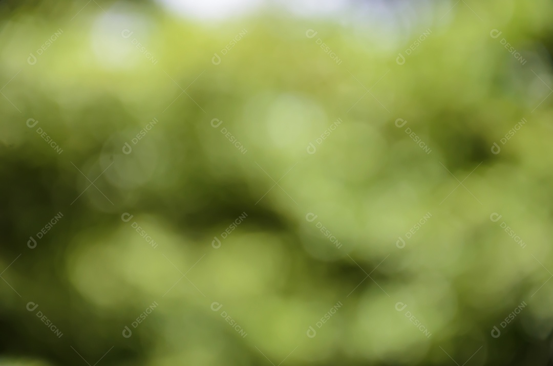 Fundo verde desfocado
