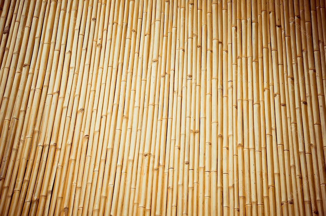 Bambu na Tailândia, bambu dourado