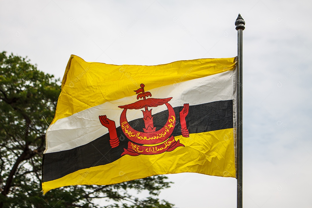 Bandeira do Brunei Hasteada