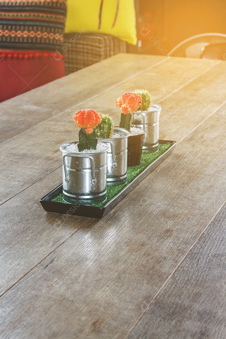 Cactus no fundo da mesa de madeira