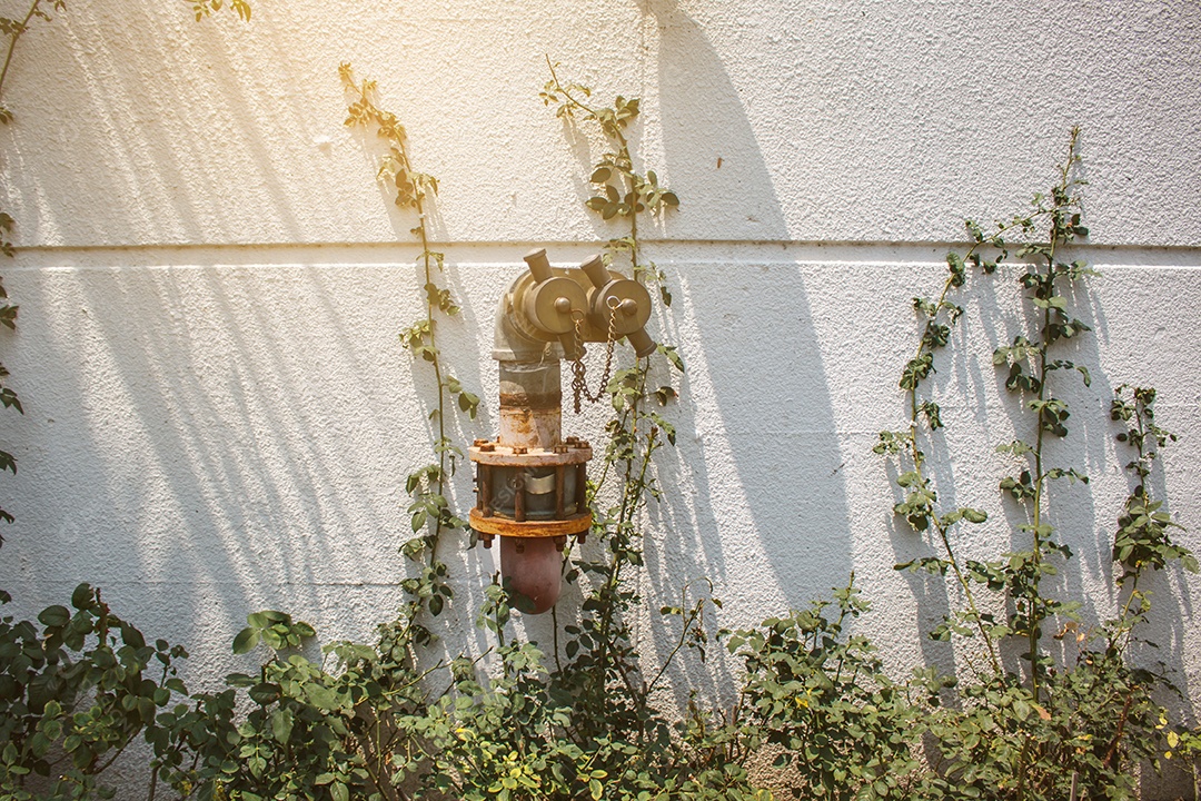 Mangueiras de incêndio com nascer do sol