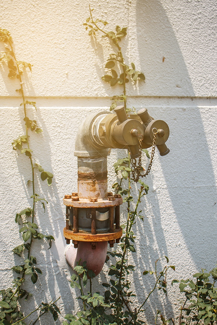 Hidrantes com nascer do sol