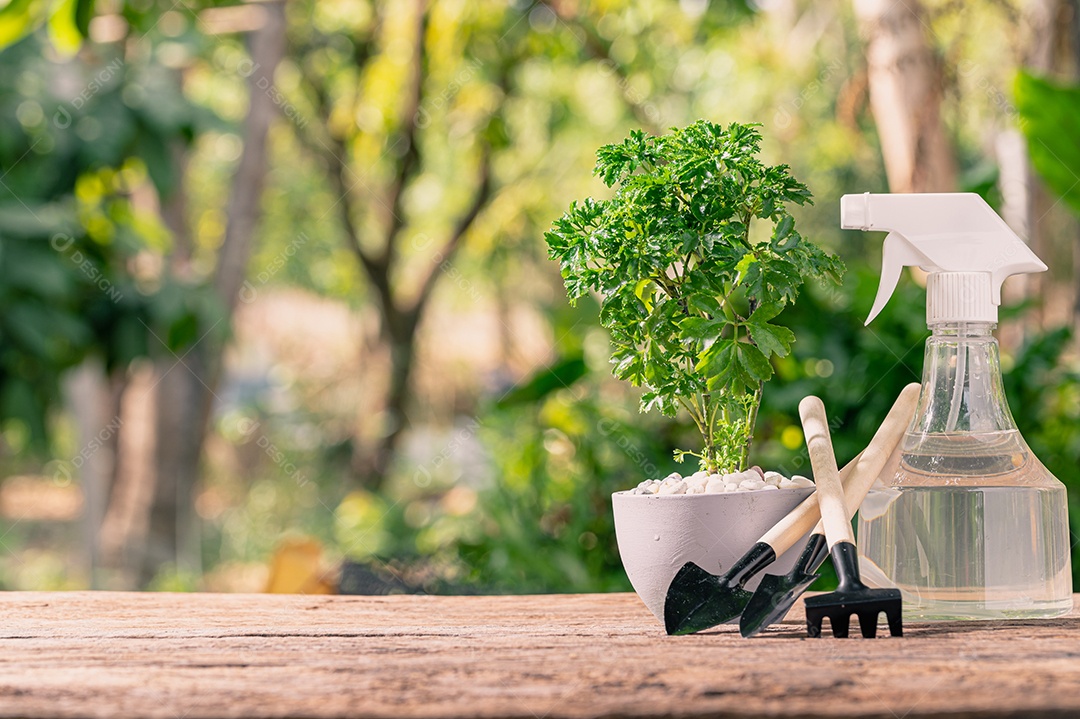 Plantando árvores em vasos. Conceito de plantas de amor. Ame o ambiente.
