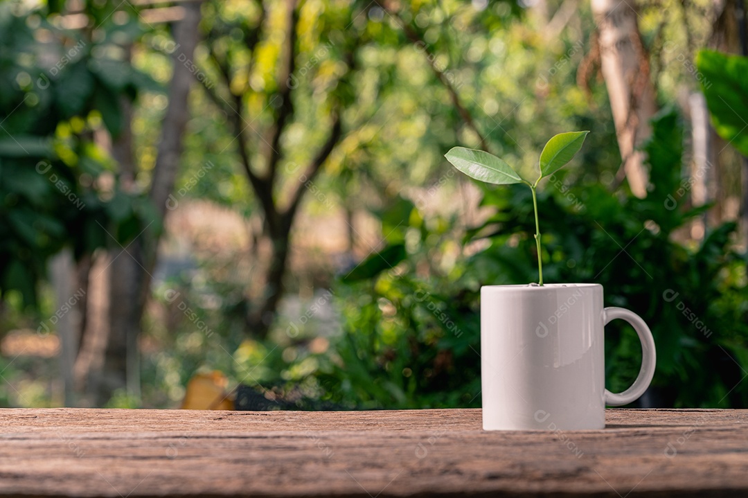 Plantando árvores em vasos. Conceito de plantas de amor. Ame o ambiente.