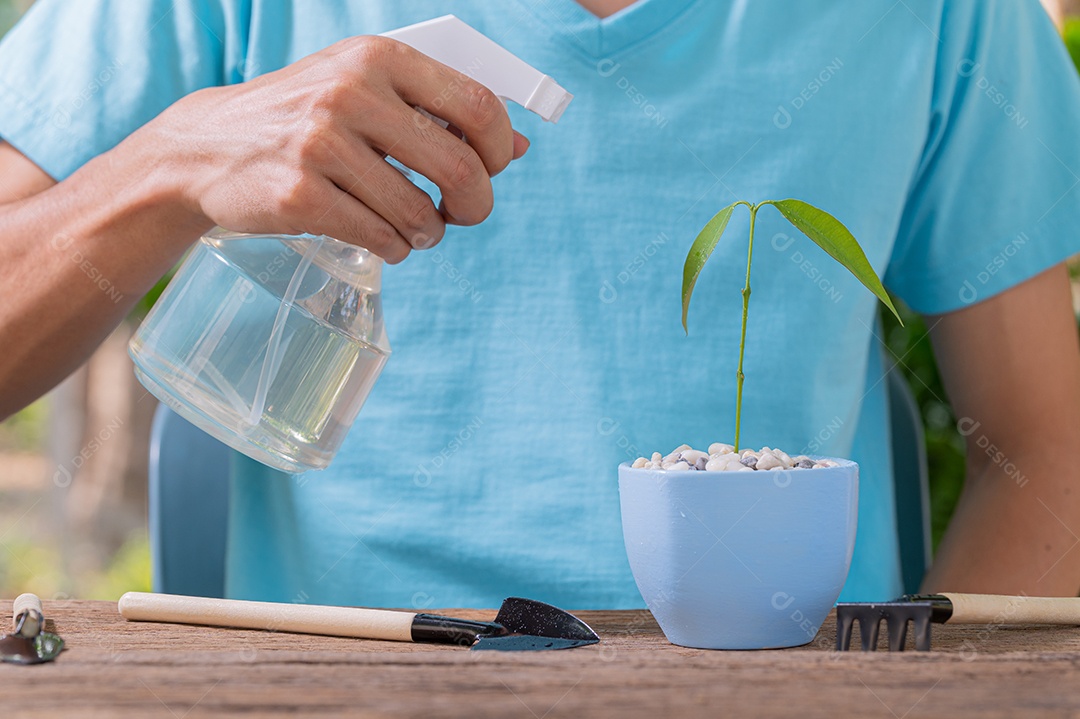 Pessoa plantando árvores em vasos conceito de plantas de amor amam o ambiente