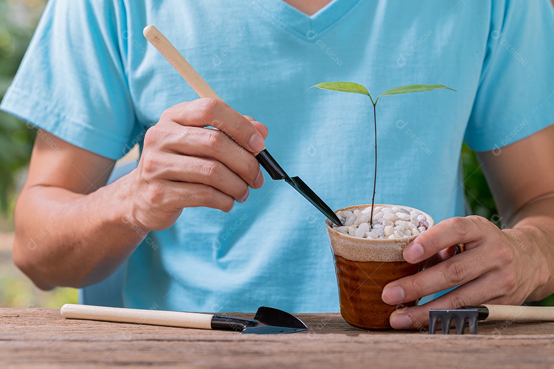 Pessoa plantando árvores em vasos conceito de plantas de amor amam o ambiente