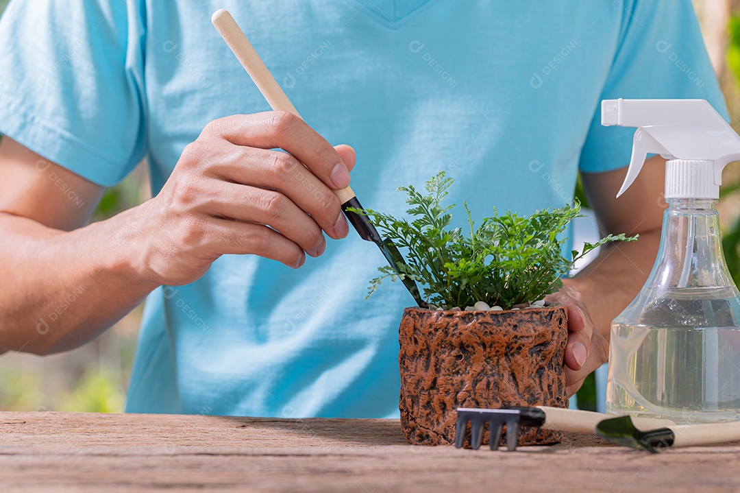 Pessoa plantando árvores em vasos conceito de plantas de amor amam o ambiente