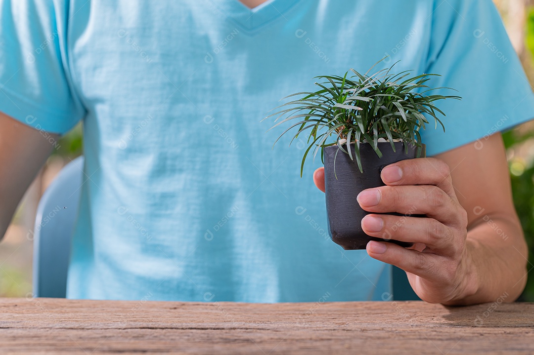 Pessoa plantando árvores em vasos conceito de plantas de amor amam o ambiente