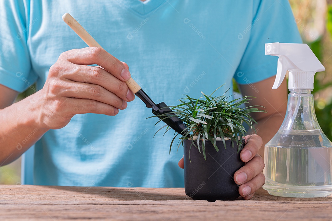 Pessoa plantando árvores em vasos conceito de plantas de amor amam o ambiente