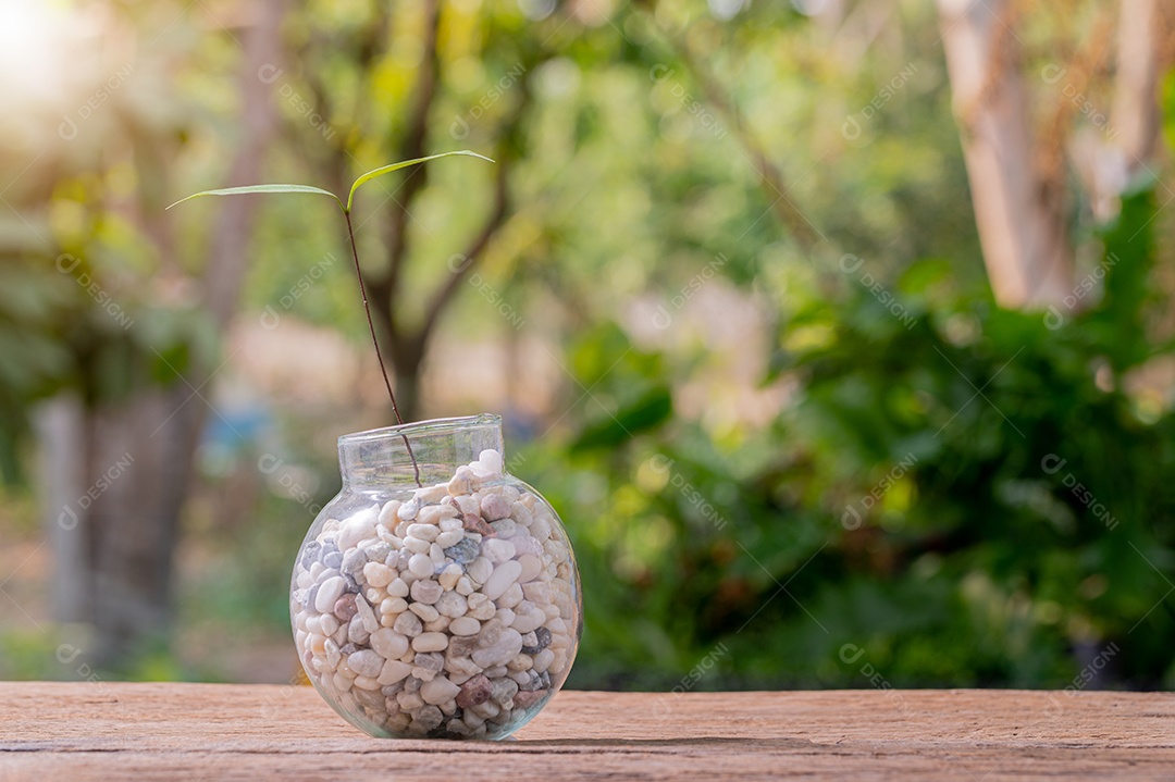 Pessoa plantando árvores em vasos conceito de plantas de amor amam o ambiente