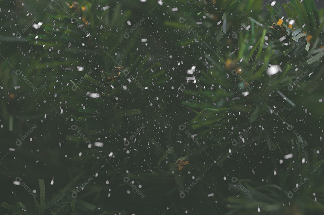 Pinheiro deixa o fundo com neve