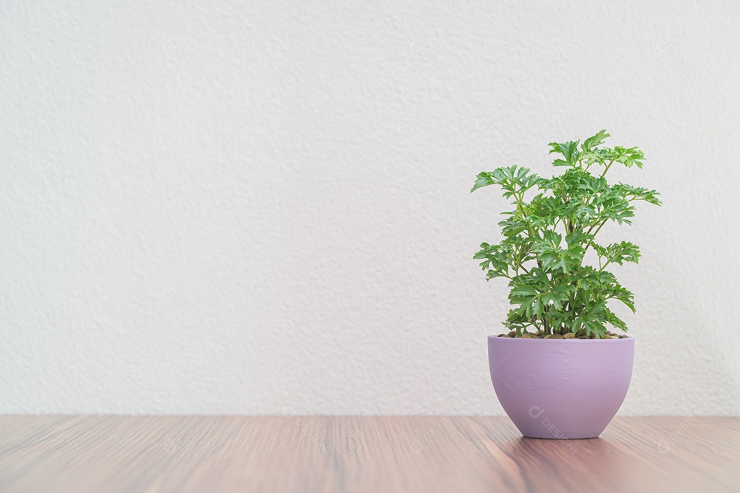 Conceito de plantas de amor na mesa da sala