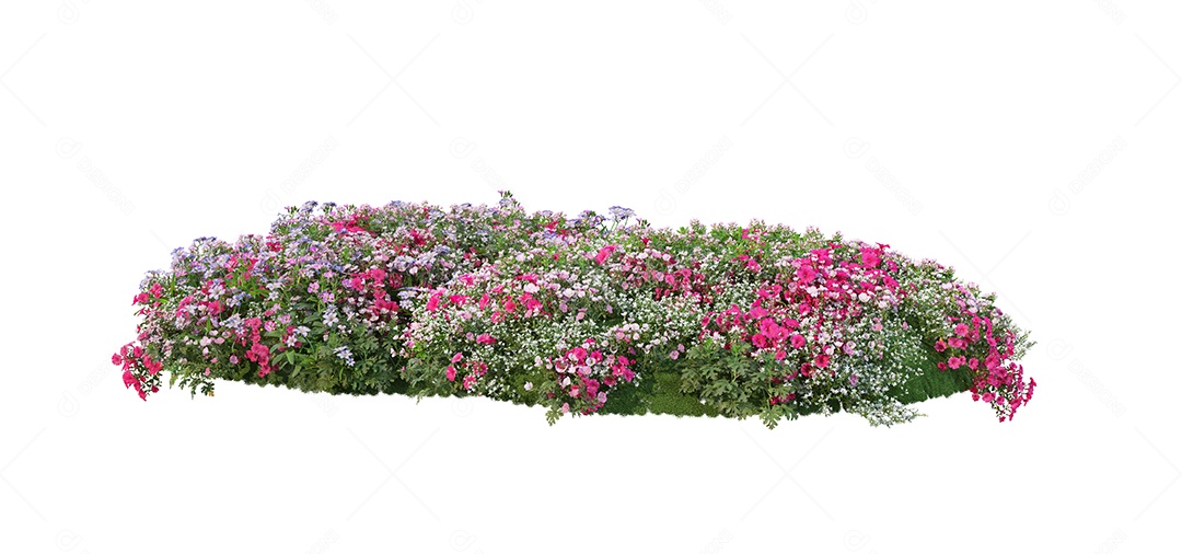 Lindas flores jardim