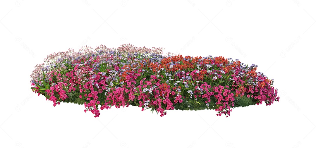 Lindas flores jardim