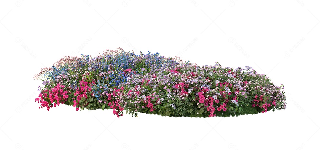 Lindas flores jardim